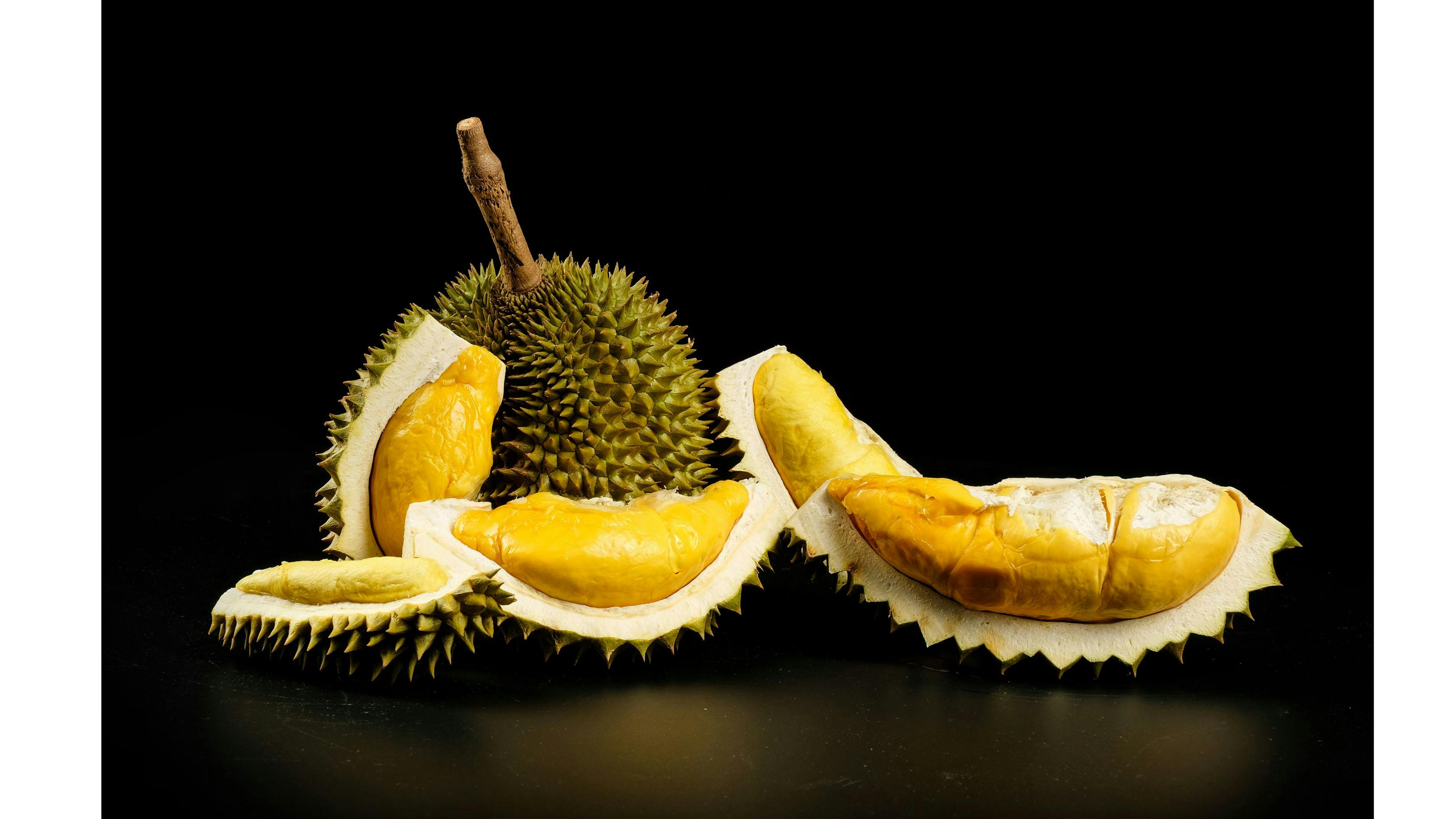 Durian Season – Taste the King of Fruits